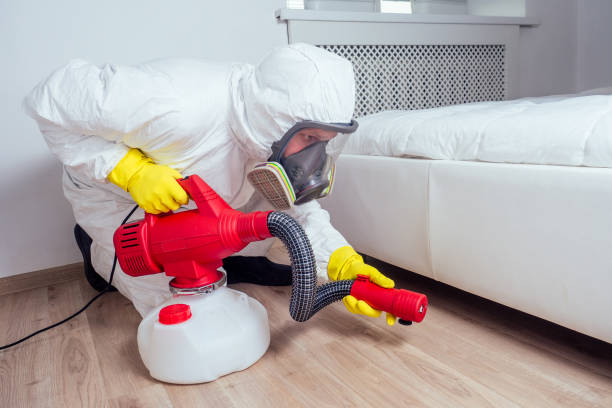 Best Pest Prevention Services  in USA